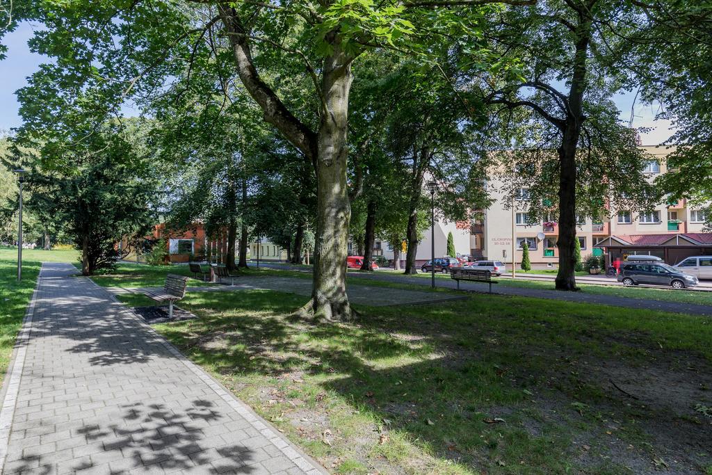 Spokojny Apartament Przy Parku Chopina By Noclegi Renters سفينويتشي المظهر الخارجي الصورة